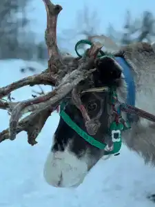 Baza Otdykha Ogni Imandry - 54