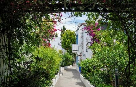 Manuela Boutique - 47