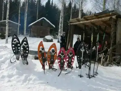 & Spa Resort Järvisydän - 23