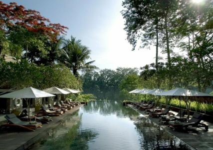 Maya Ubud Resort & Spa - 41