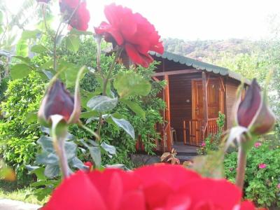 Ugur Pansiyon Çirali - 13