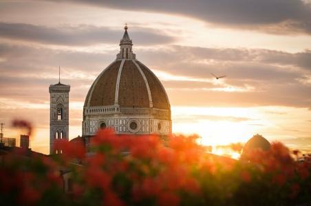 Cardinal Of Florence - 11