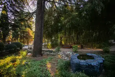 More Spa & Resort - 39