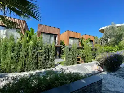 Unique Life Style - 47