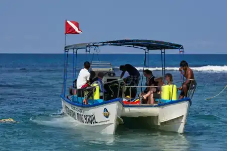 Coral Sands - 19