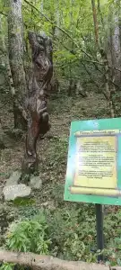 Eco Polyana Skazok - 27