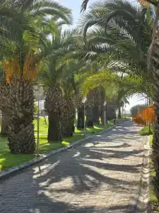 Richmond Ephesus Resort - All Inclusive - 75