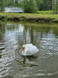 Eco Park Tourist base - 66