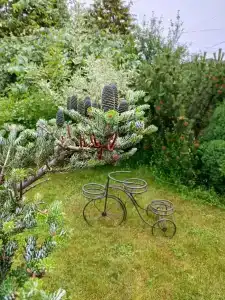 13 Chairs Guest house - 18