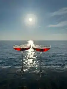 Perdue Adults Only - 48