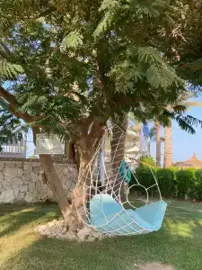 Sharm Club Beach Resort - 24