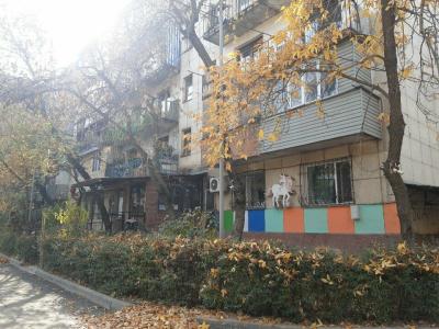 Hostel Loco - 24