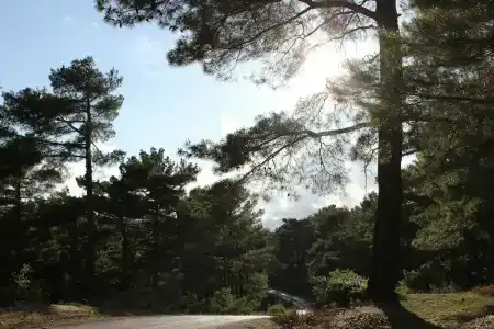 Assos Kayalar Terrace - 10