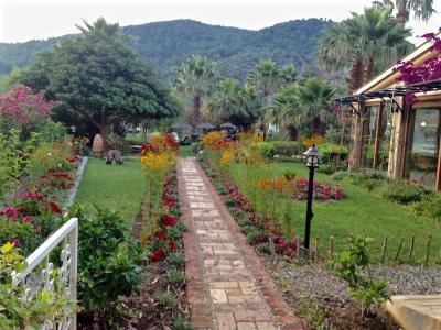 Dalyan Resort - Special Class - 45