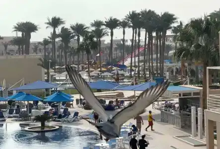 Pickalbatros Aqua Blu Resort - - 48