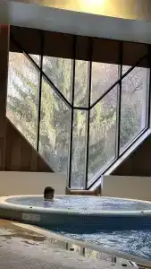 Swissôtel Wellness Resort Alatau - 49