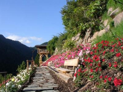CharmeUhrerhof - Deur - 5