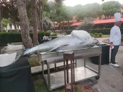 Robinson Nobilis - All Inclusive - 49