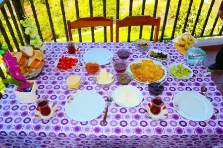 Faralya Gül  Pansiyon - 19