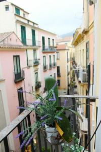 B&B Katerine - 13