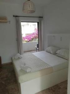 Golden Star Praxitelous - 24