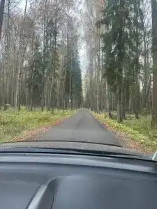 Zhemchuzhina Zolotogo Koltsa - 95