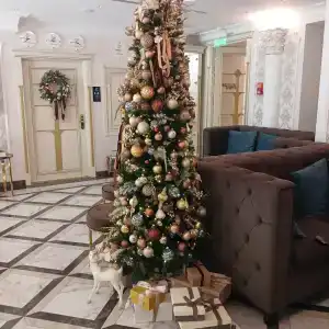 Butik-otel Magic harp - 43