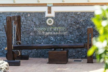 Resort & Winery Bosco De Medici - 1
