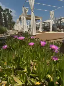 Akka Antedon - Premium All Inclusive - 56