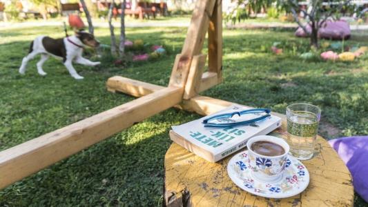 Koala Bungalows - 25