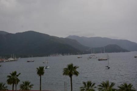 Fifty Five Suit - 49