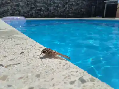 " Lesnaya skazka" Resort inn - 12