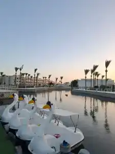 Pickalbatros Dana Beach Resort - Aqua Park - 53