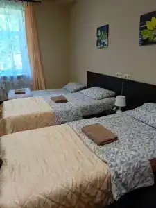 Tipichnyy Piter - 10