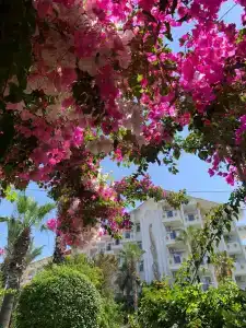 Aydinbey Gold Dreams - Ultra All Inclusive - 77