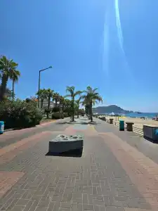 Muz - All Inclusive - 31