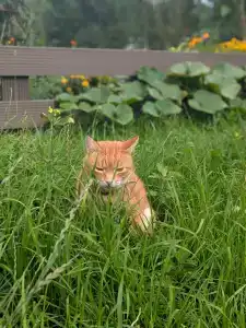 Spasskoe Park-Hotel - 29