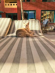 Sun & Sea and Aqua Park - - 14