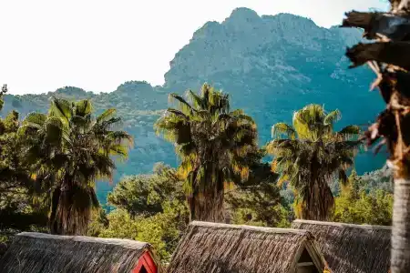 The Hill Glamping Bungalow - 46