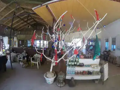 Faralya Gül  Pansiyon - 14