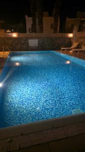 Canna Garden - Adults Only - 21