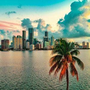 Atwell Suites MIAMI BRICKELL by IHG - 4