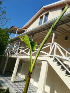 Kadifeli Konak & Bungalow(Kadifeli Konak Boutique) - 21