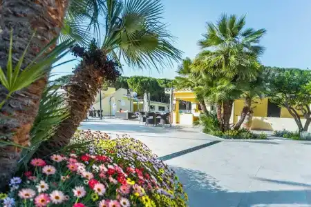 Fiore di Maggio - 4