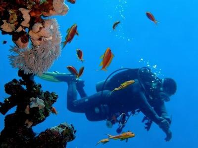 Steigenberger ALDAU Resort - 69