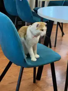 Solnechny (filial Eremenko) Complex - 12