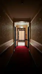 Olymp Pervaya Liniya - 12