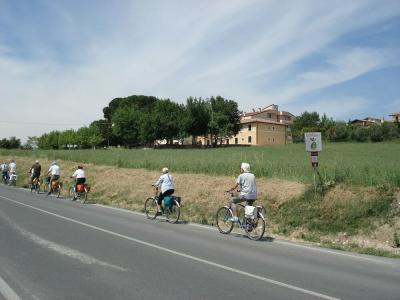 Vega Perugia - 5