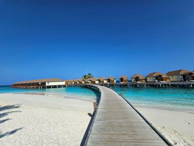 Reethi Faru, Bio Luxury Resort - 59