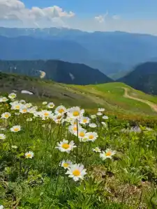 Polyana 1389 & Spa - 96